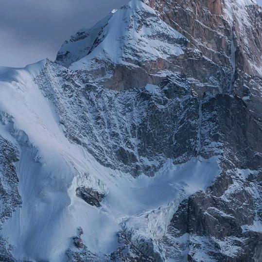 松下维帆生活电器专卖店的头像