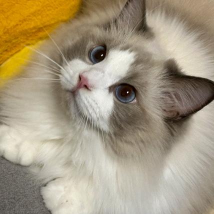 海口秀英谷茉文化传媒工作室（个体工商户）