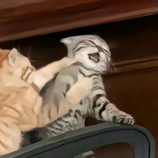 ®🌜⃢👁ᆺ👁⃢🌛®