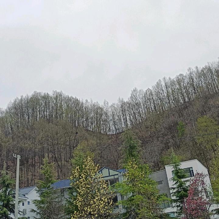 梦想成真