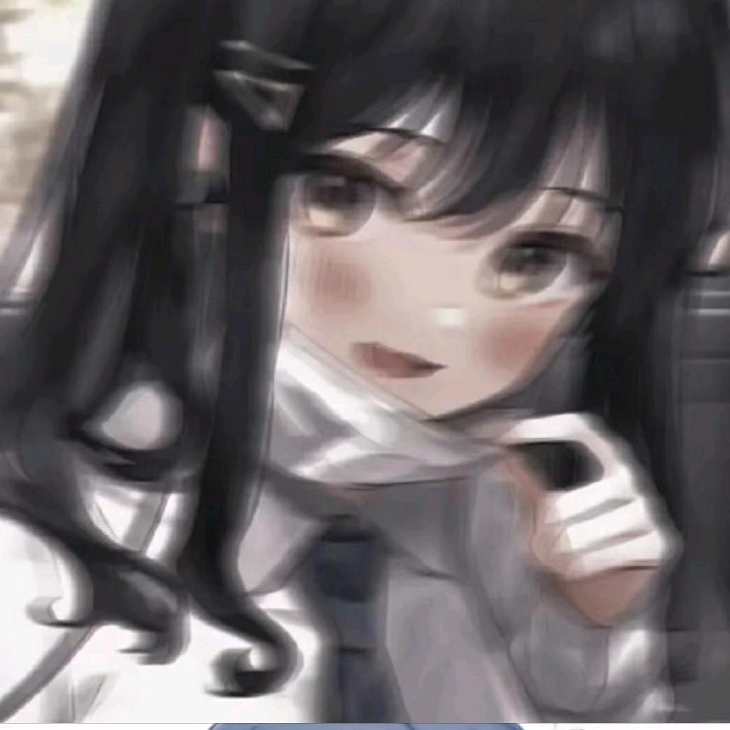 退网版玫瑰