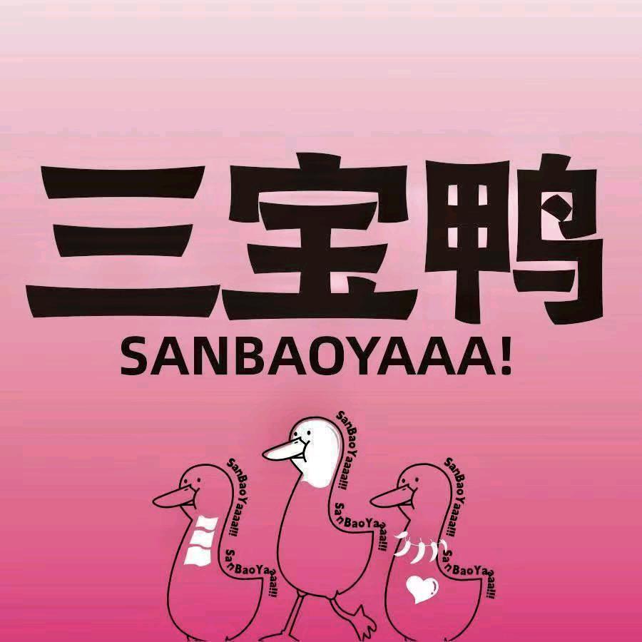 三宝鸭（兴宁店）