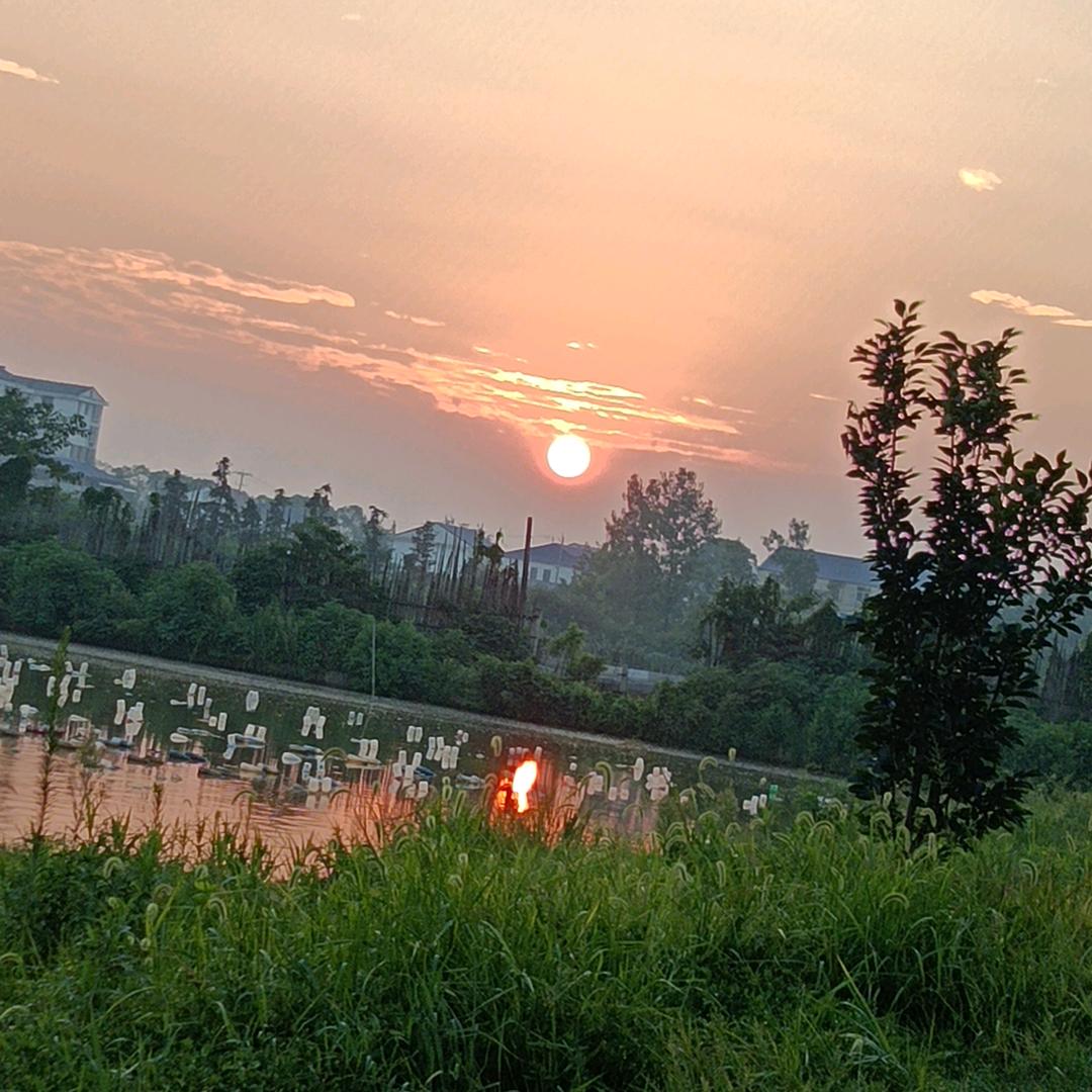 汉寿县蓬澄特种水产养殖专业合作社！