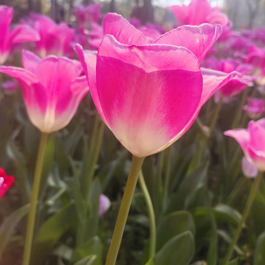 🥟🥟吕家二小姐💝💖💕💞