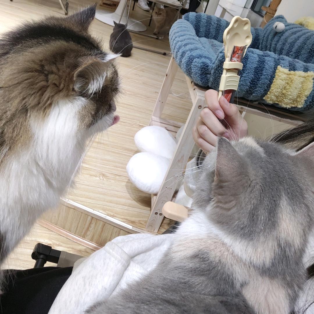 周司惟