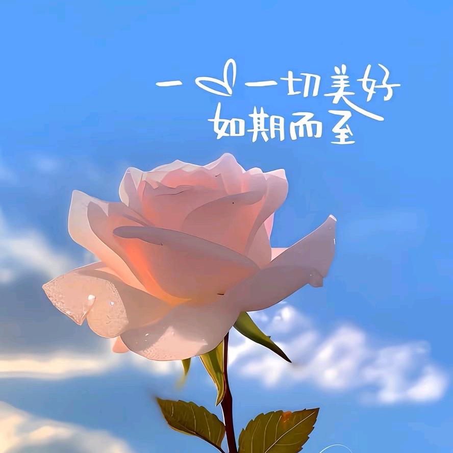༺༃🌙༒您༃༻