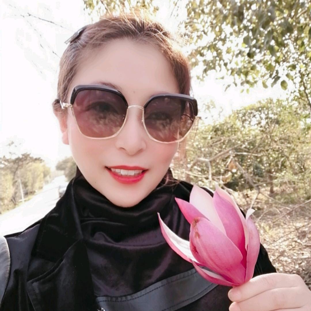 燕子(有话要说)