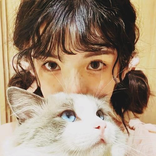 猫猫爱远航