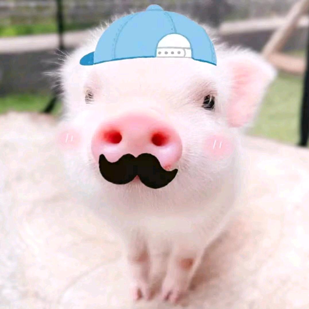 蛋仔主播黎明.🍜