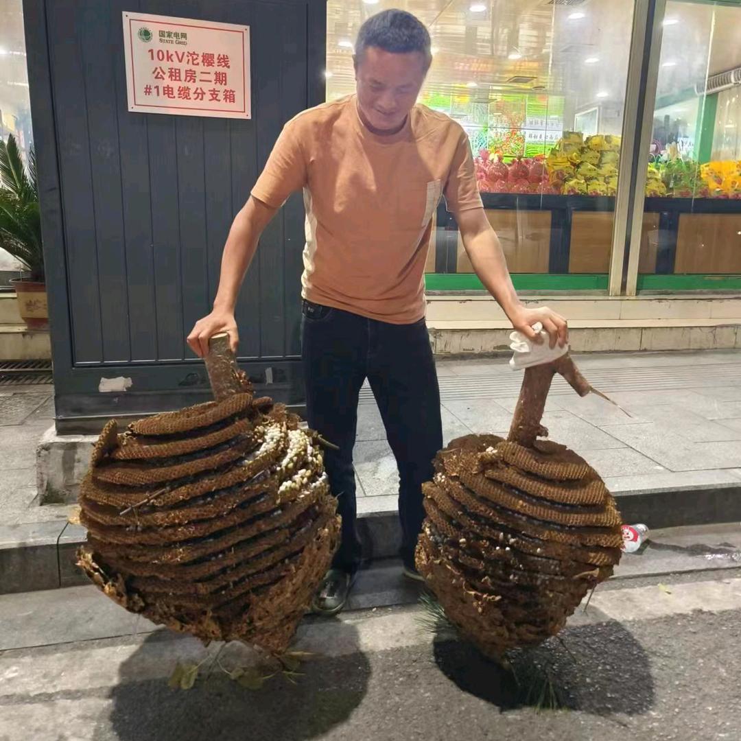 湘西阿杰（枞树菌）农产品山货店