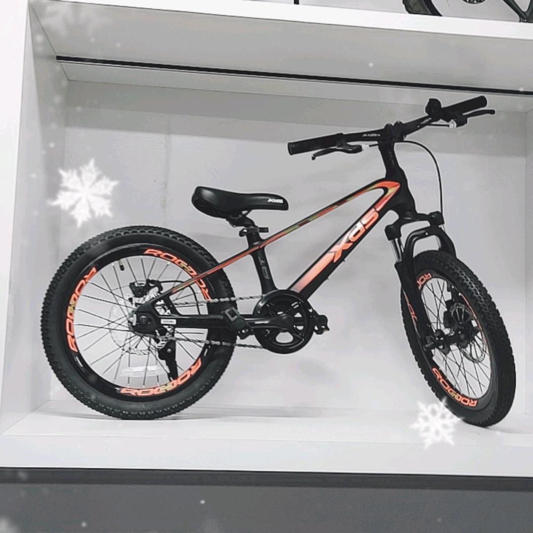 买自行车的小姐姐