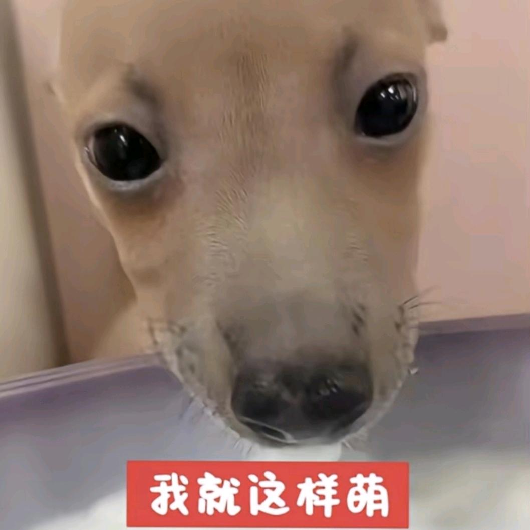 很牛吗你