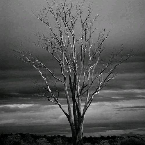 ᭄余生💗随心🦈🦅