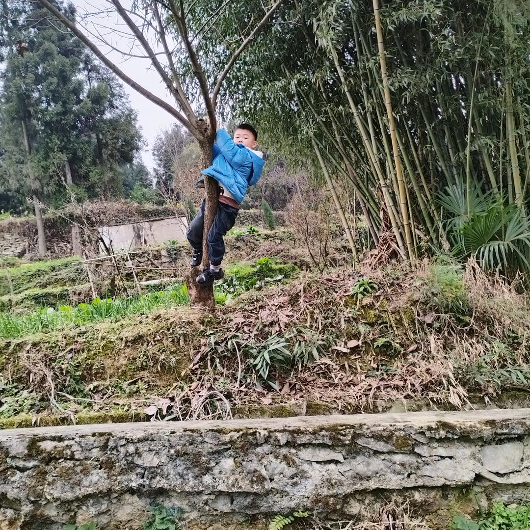 香菜不爱吃🌺🌺