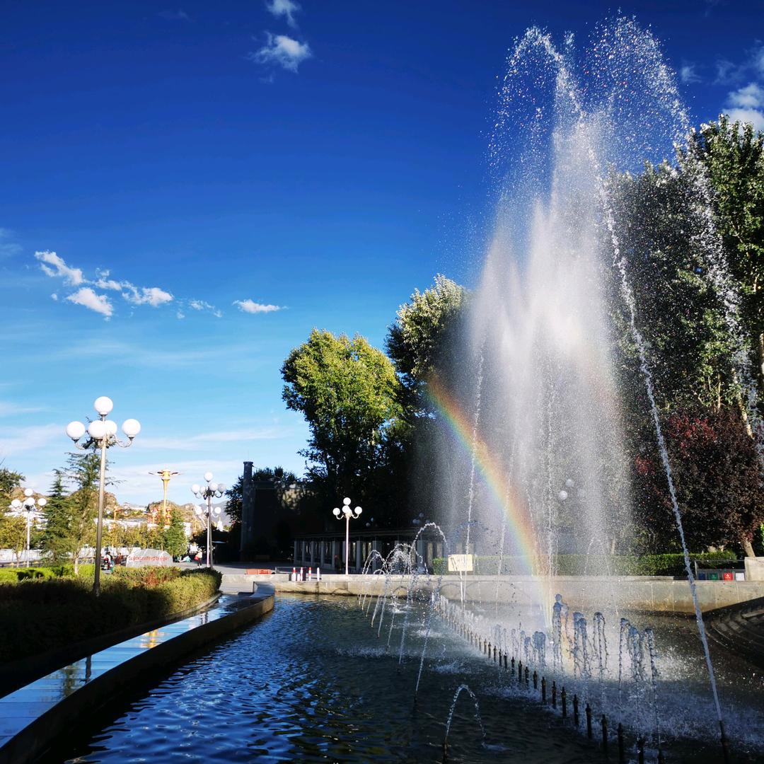 云梦泽-观背青鳉