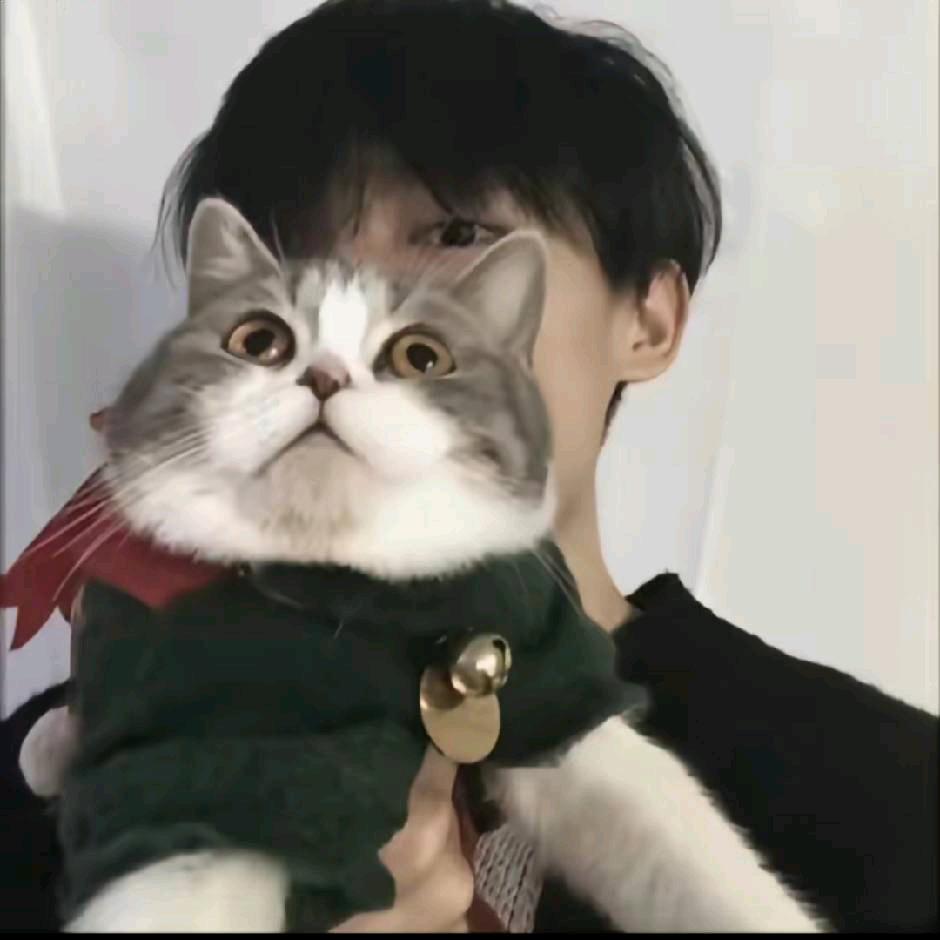 7🐱