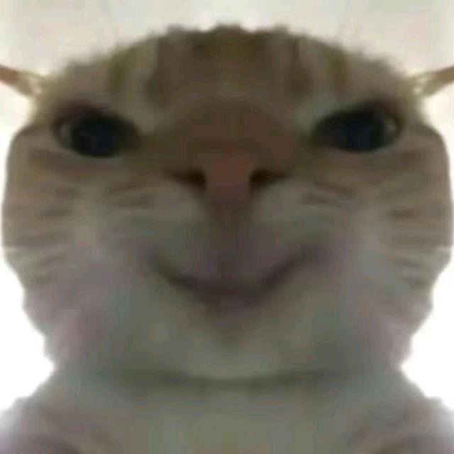 ？