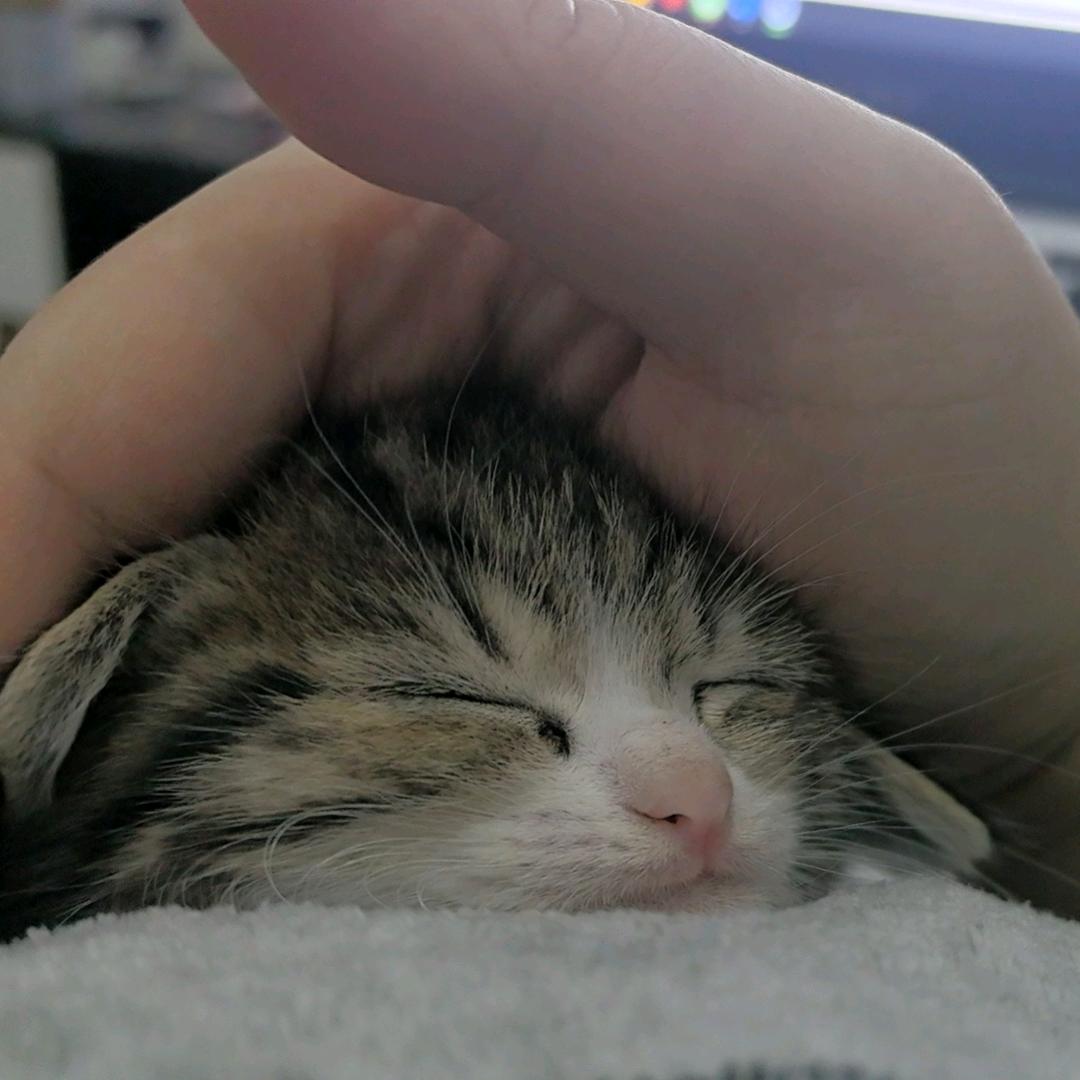 遇见你会有怎样的对白