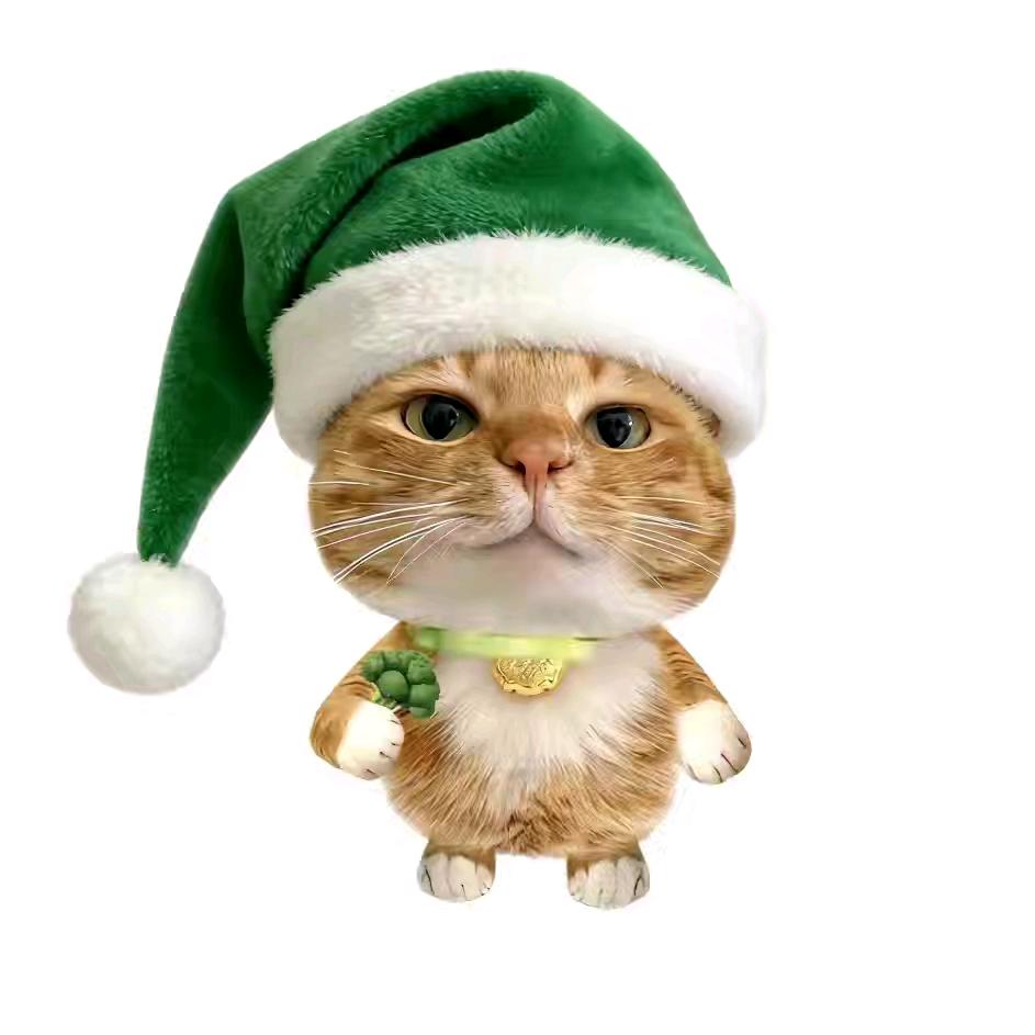 请叫我烂菜噢～