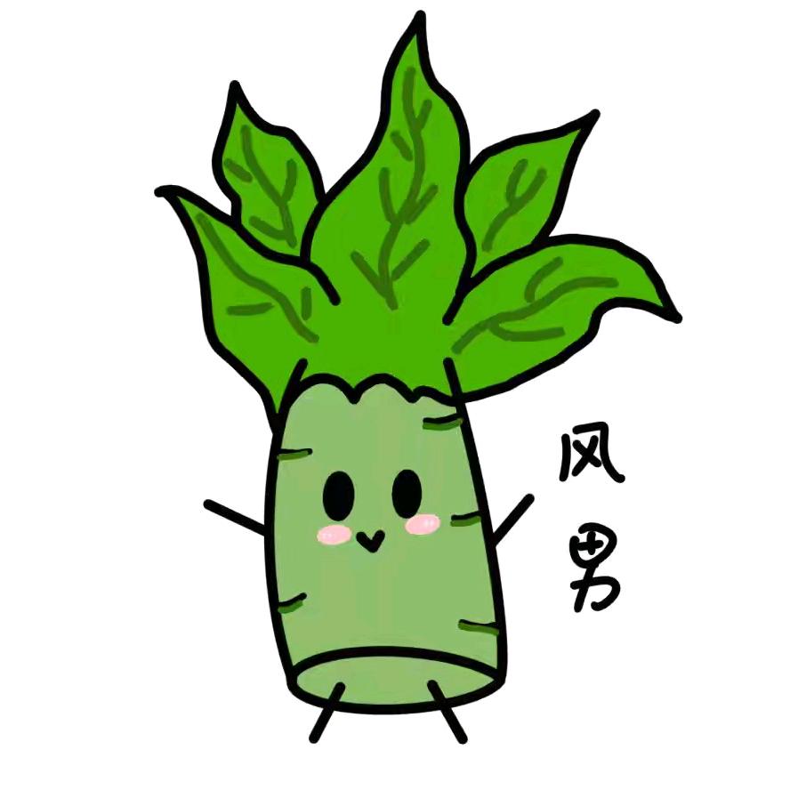 以后我就是快乐风男（晚安组）