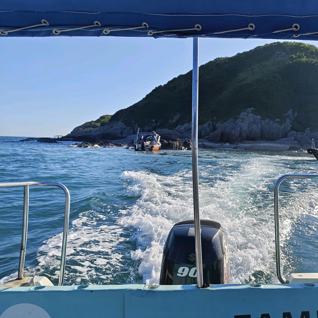 ╭☞像鸟儿一样飞翔╭☞