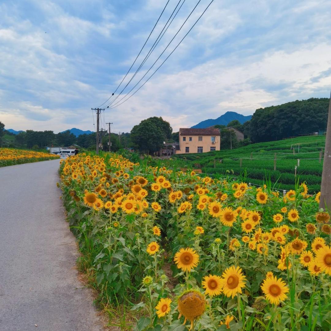 余生❤️挚愛即将退网