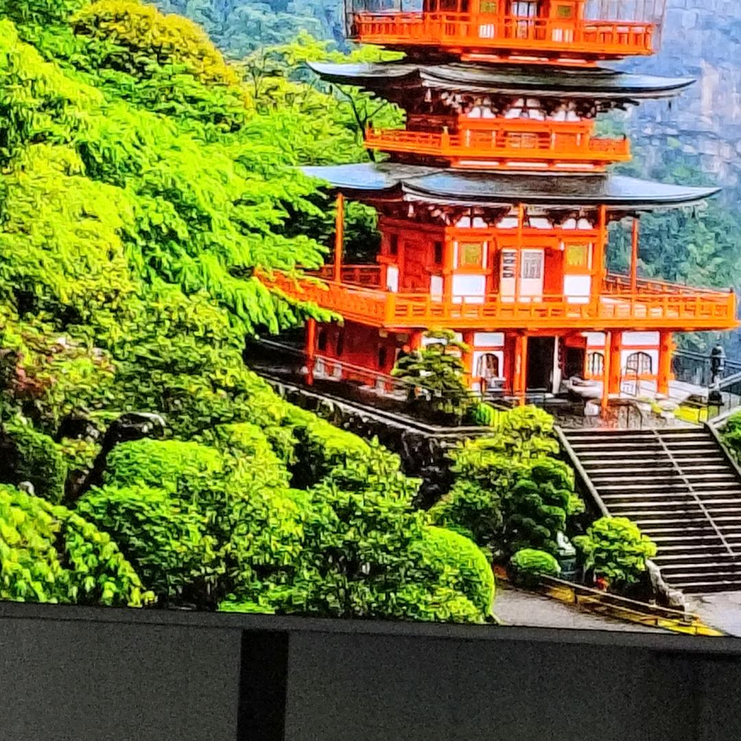 我的朋友