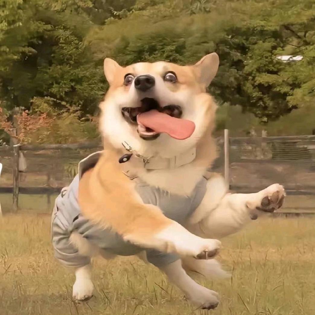 H啊哈