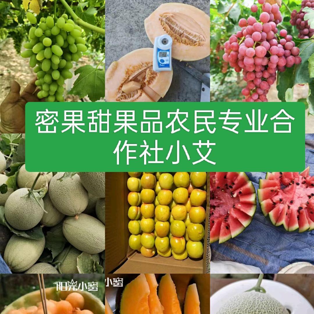 艾尔西丁民族团结使者