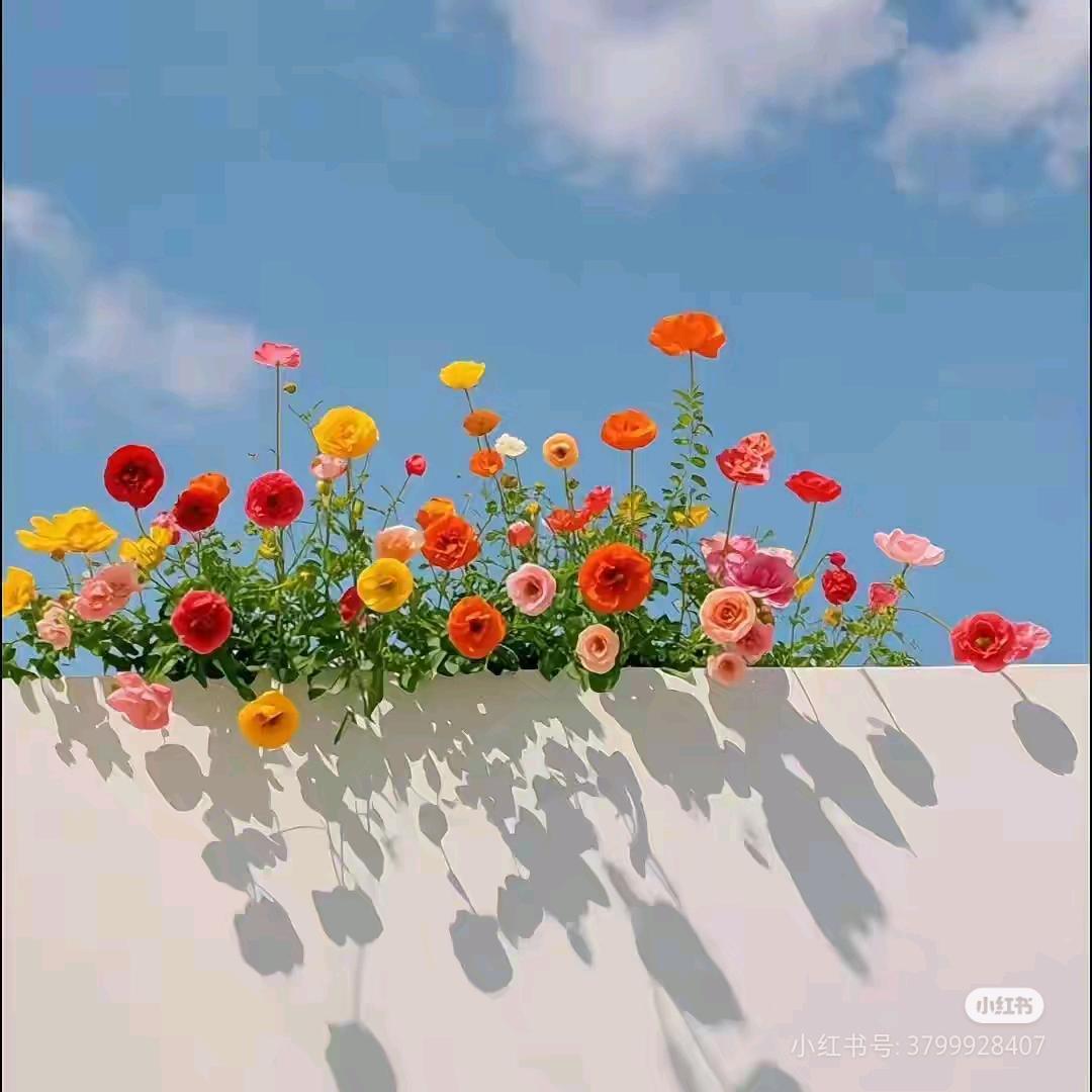 一可ʚɞ
