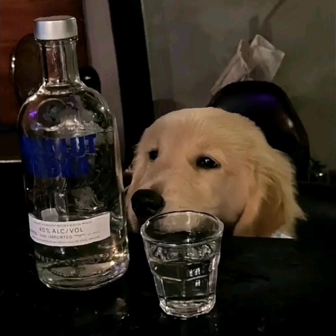 夏夜的♡