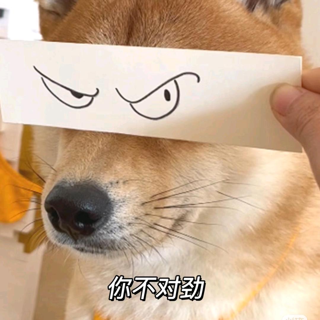 狗派诗人头像