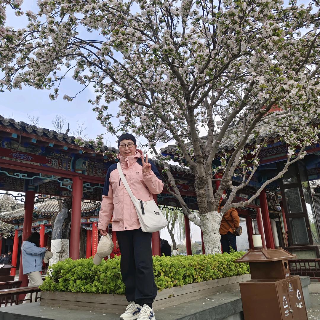 刘淑艳
