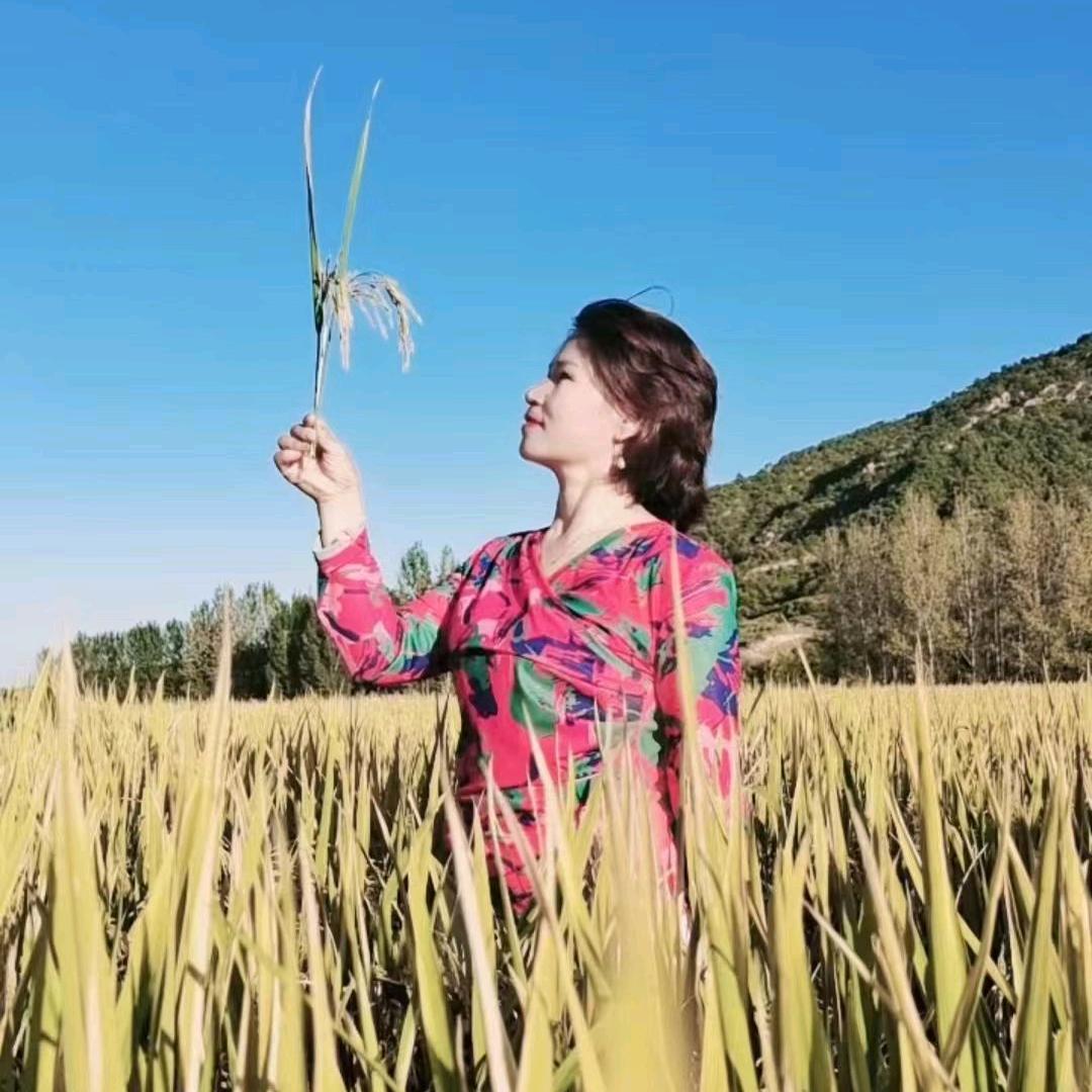 椰林飘香