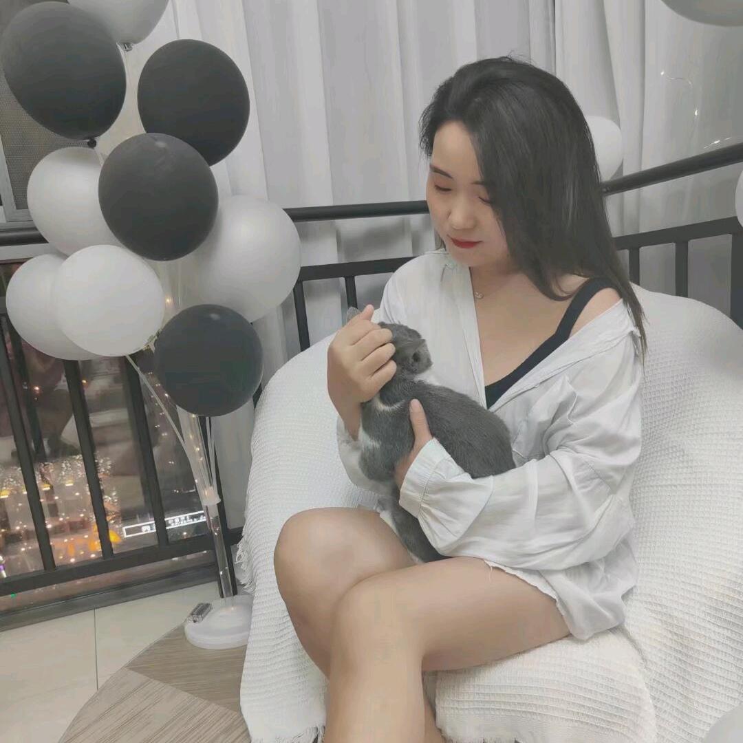 LC.兔小白