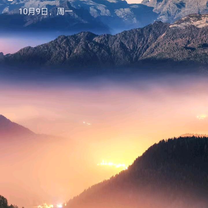 楊