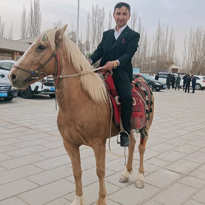 帕如合·排孜拉