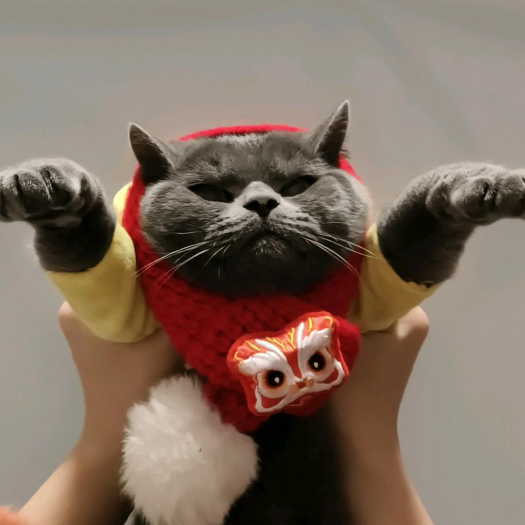 Zumi