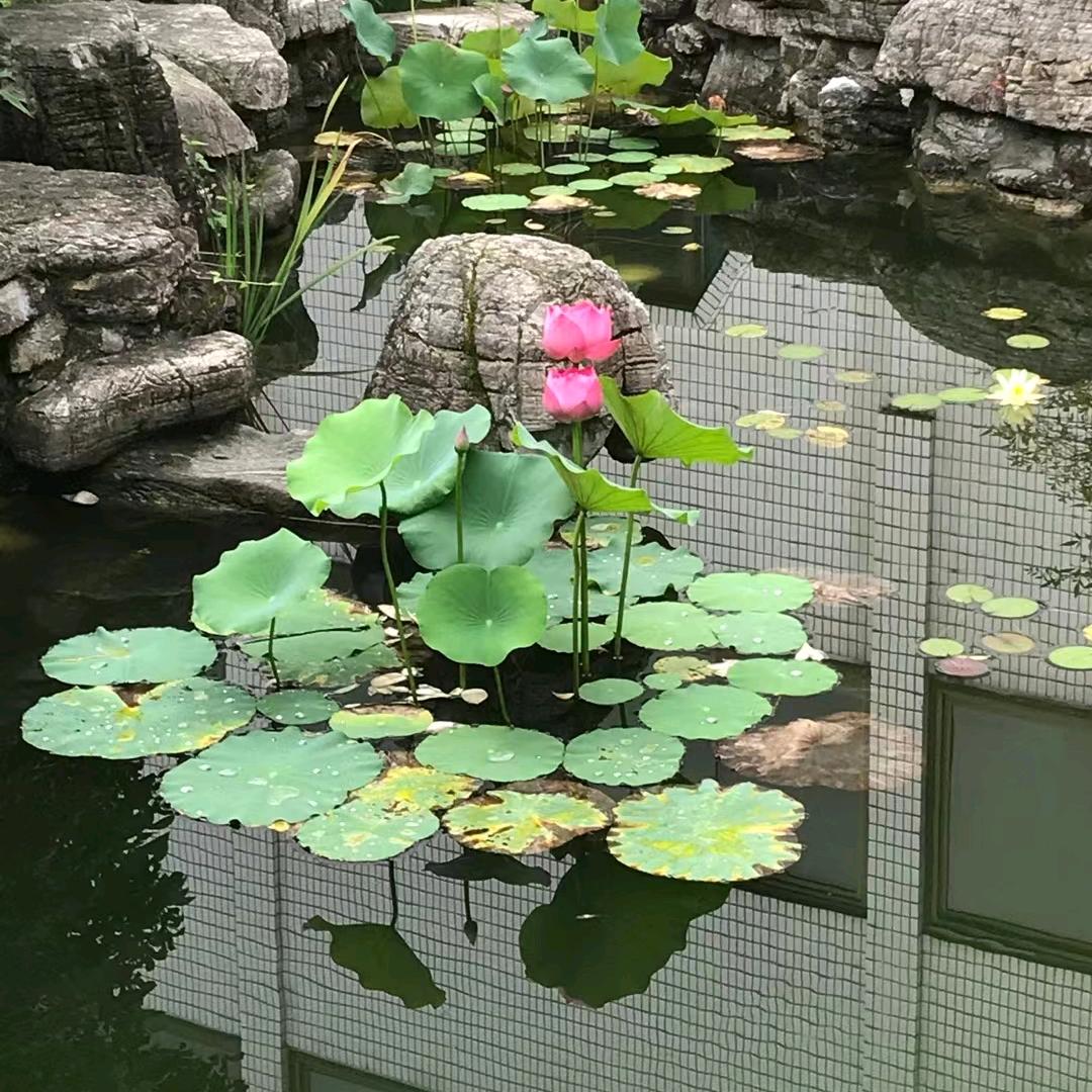 众木托管