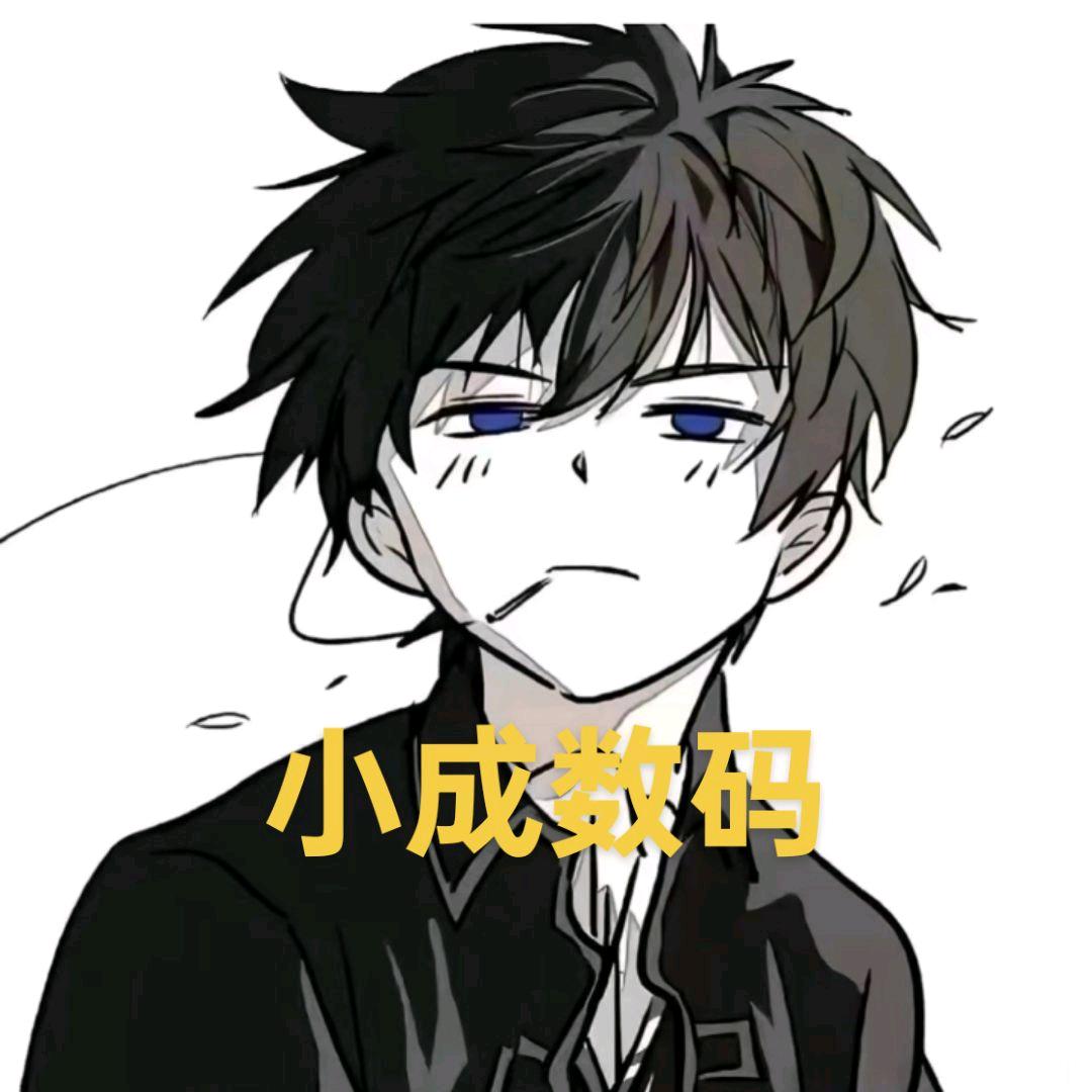 襄阳小成数码