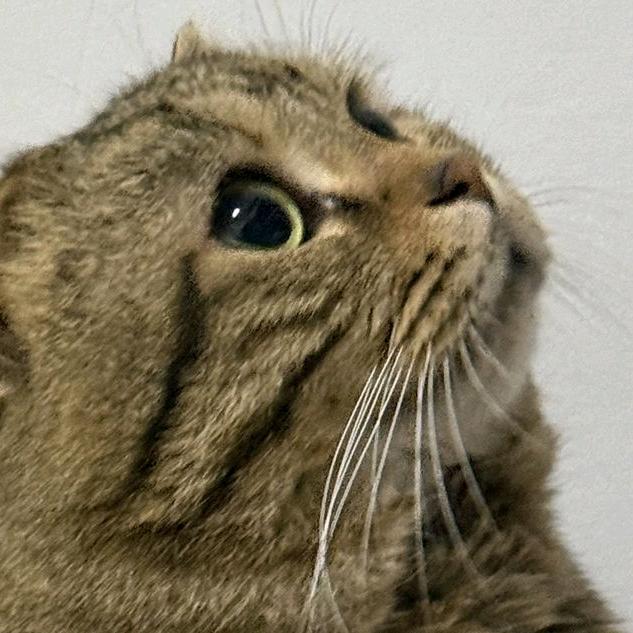 回🍂眸成💘殇