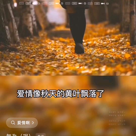 阿青👿