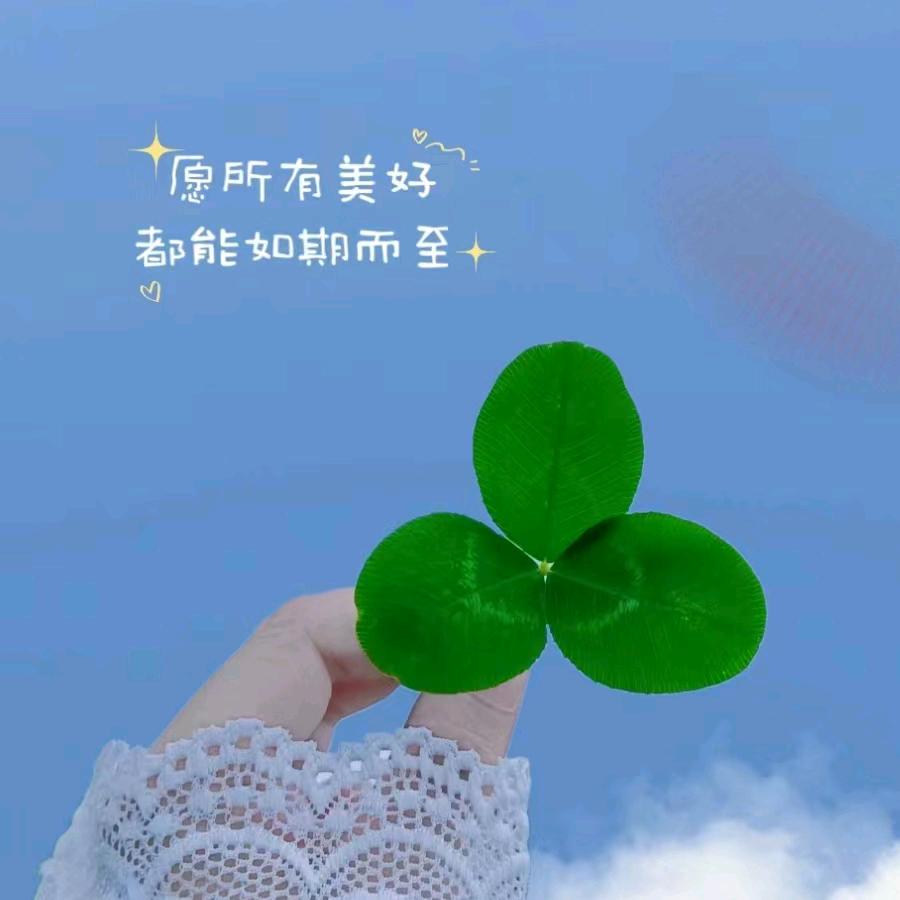 阿雅优选