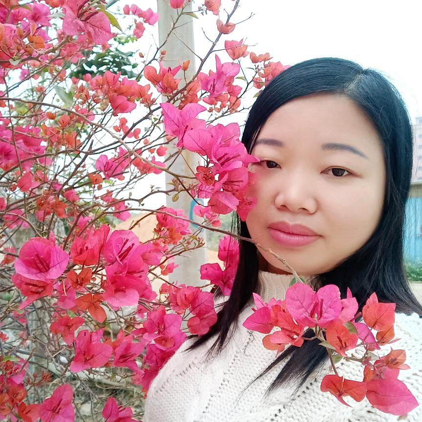 清茶