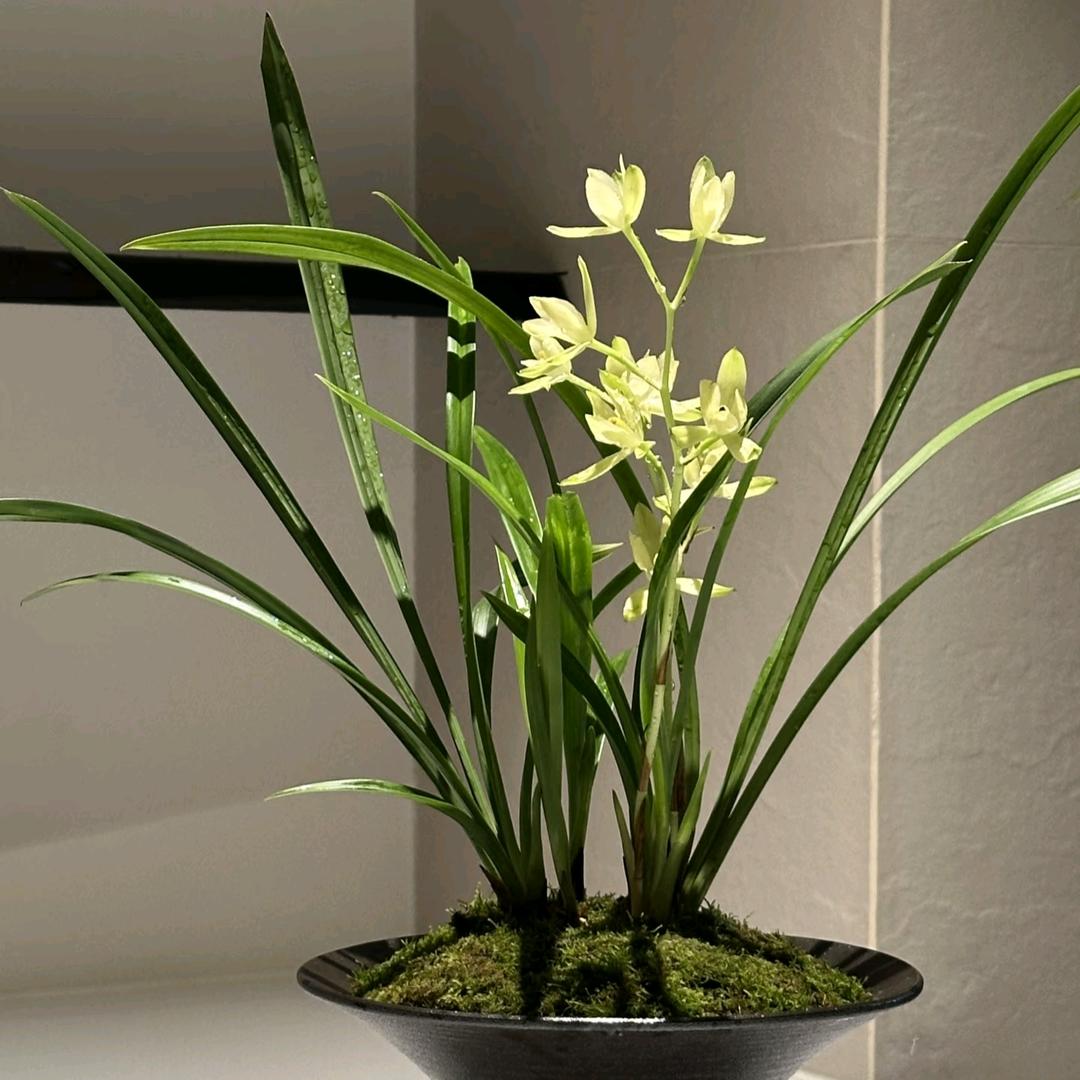 云南花卉示范园区花卉屋