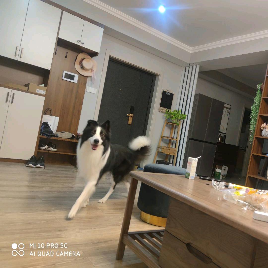 奇迹发生