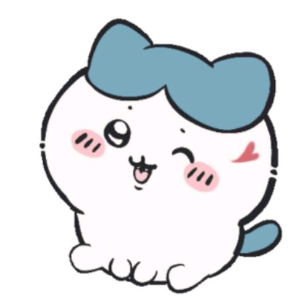 fish大王