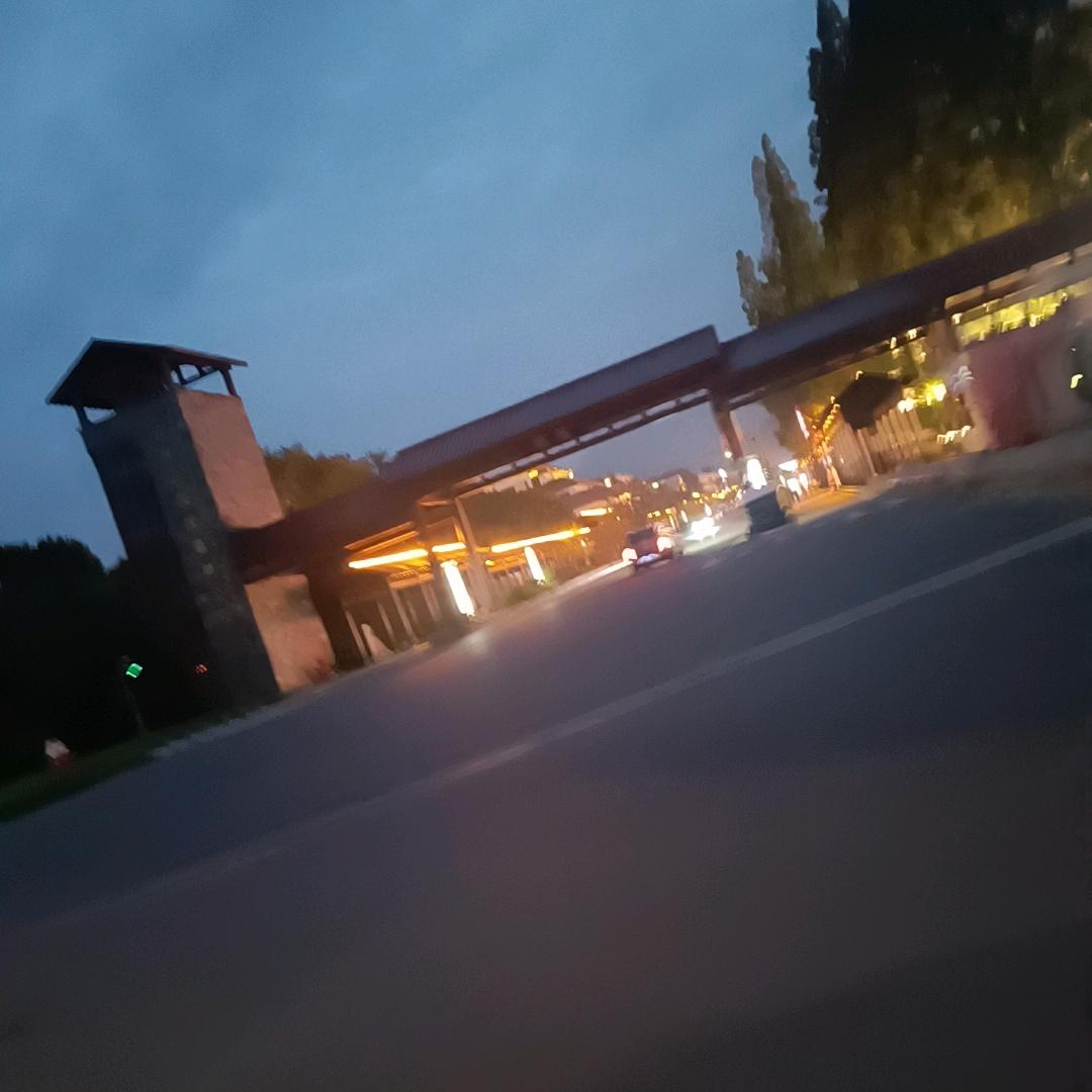梦林