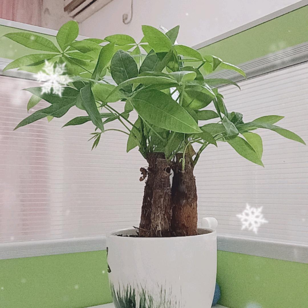 新新推荐