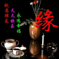 缘聚今生
